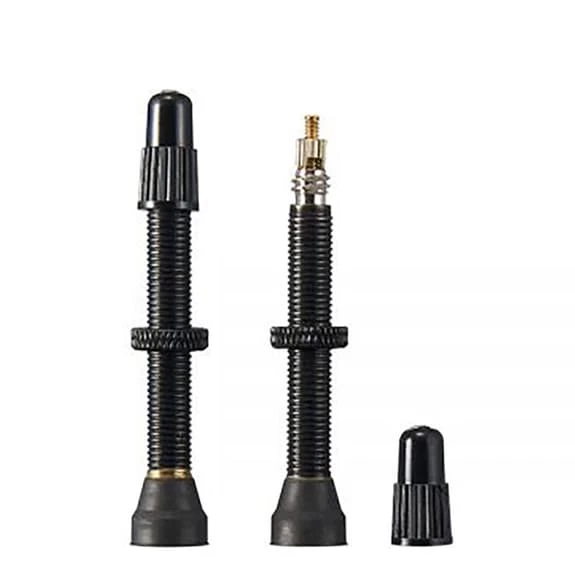 Valve Tubeless Ritchey 45 Mm (2 Unités) Noir