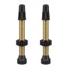 Valve WTB TCS Brass 46mm Doré