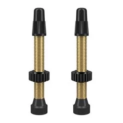 Valve WTB TCS Brass 46mm Doré