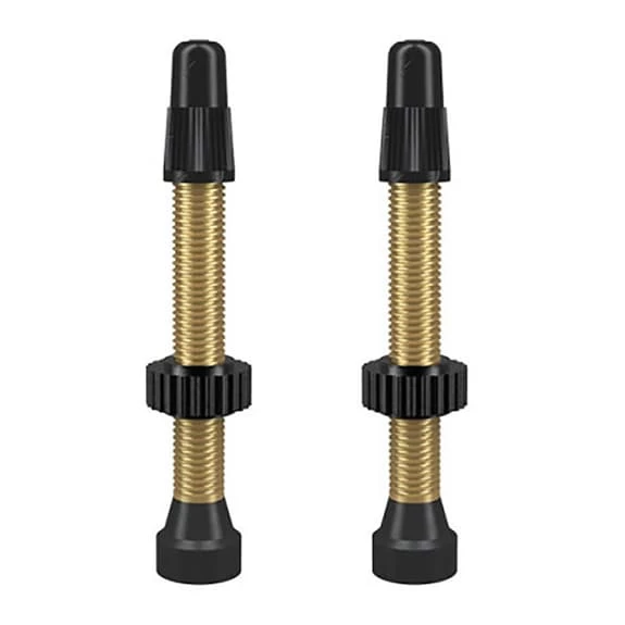 Valve WTB TCS Brass 46mm Doré